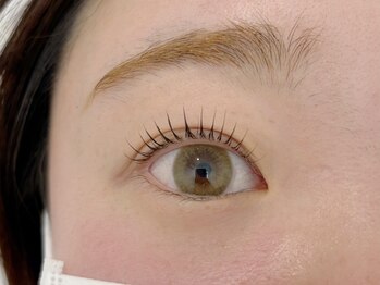 アイラッシュサロン ウインクル(Eyelash Salon Winkle)/まつげパーマ