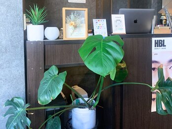 ヴィリール(VIRIR)/素敵なカウンターでお出迎え