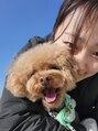 シナジェ 並木通り店(Synergye)&nbsp;愛犬のコロン★人見知りの甘えん坊です(*^^*)