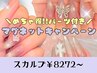 5月限定!お得★パーツ付きマグネットネイル【スカルプ】リピーター様￥9372