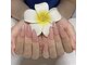 エムハウオリ(M Hauoli)の写真