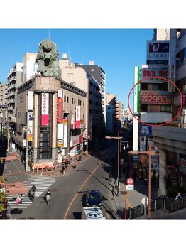 コリとるニイキュウハチ 川口店(298)/ライオンのオブジェの向かいです