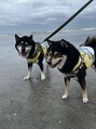 アンジェリカミッシェル 津田沼店 愛犬のマロンとクウです♪