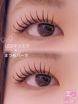 リボンツー 仙台(Ribbon2)/LEDマツエク×まつ毛パーマ