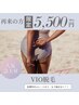 【リピーター様】VIO脱毛 ¥5,500円