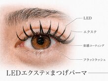 ヴィズクラブ バイ ビネル(Vi's CLUB by BINEL)の雰囲気（LEDマツエクパーマ導入♪今までにないカール!見栄えが変わります）