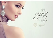 パルタージュ(partage)の雰囲気（LEDグルー取り扱い店）