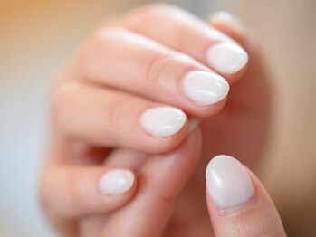 サンフラワー(Sun.Flower)/