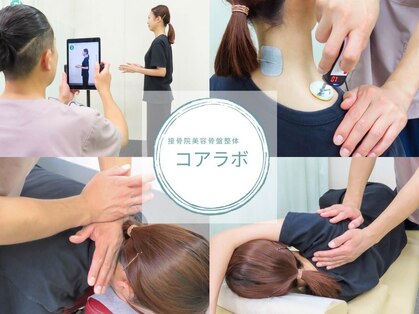 コアラボの写真