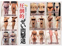 ビューティーワンド ココ(Beauty Wand COCO)