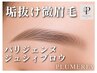 【眉毛】パリジェンヌジュシィブロウ2回目以降4500円★最新美眉アイブロウ