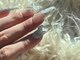 吉(キチ)の写真