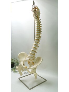 ガジュマル整体 別府六本松/状態説明