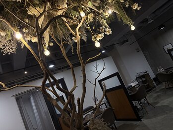 ファボリ ナゴヤ(favori nagoya)/フラットラッシュ120本/マツエク