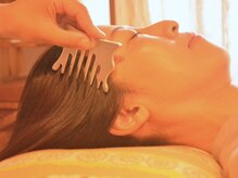 木もれ陽