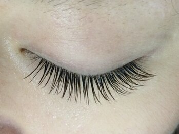 シュシュ(chou chou)/オールカラー120本