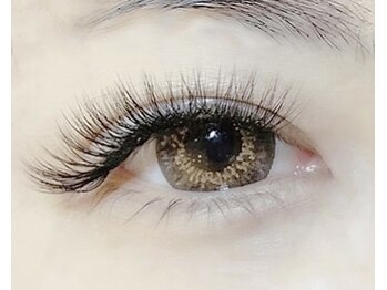 エヌアイラッシュ(N eyelash)/ボリュームラッシュ120束☆
