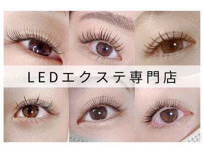 バンビ(Bambi)の写真