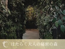 森の雨やどり けやき通り店