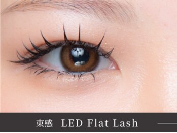 ベルル(Bellulu)/LEDエクステ150本（束感仕上げ）