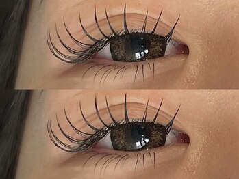 ロバスト(ROBUST)/