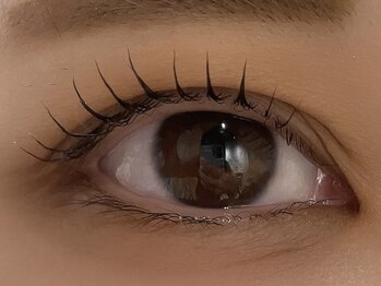 カラン 焼津店(CALIN)/シンプリフィ