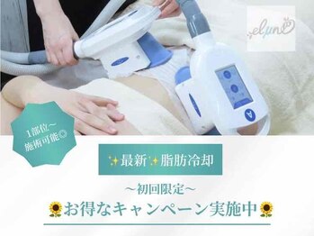 エルミューノ(elμno)/お得なキャンペーン実施中♪