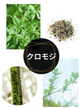 グリーンルピナス 博多駅店(Green Lupinus)/クロモジ仲間入り