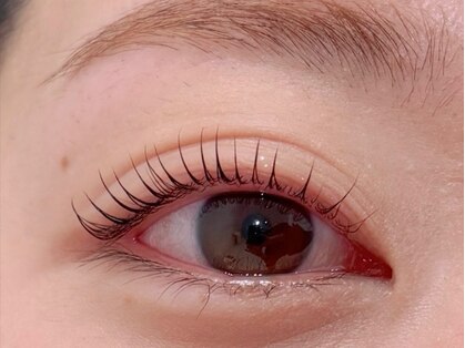 ルココン エミュ(le cocon e'mue)の写真