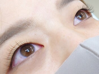 オリオン/フラットラッシュ