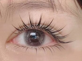 アリータ(ALITA)/サンフラワーワンホン120本