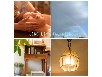 リノリノ(LINO LINO)の写真