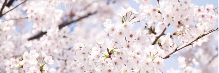 ナナ 福岡(NANA)のサロンヘッダー