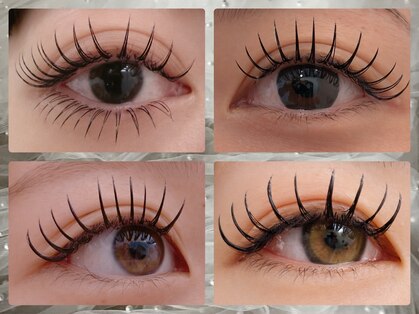 フウガ(Fuga)の写真