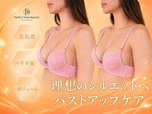 パーフェクトボディプレミアム 札幌大通店(PERFECT BODY PREMIUM)の雰囲気(理想のシルエットを目指せる!お客様の悩み別バストアップケア!!)