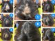 シラカワ 小倉院(SHIRAKAWA)の写真