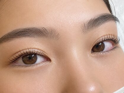 ルネッタプラス(LUNETTA＋)の写真