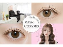ホワイトカメリア(White Camellia)