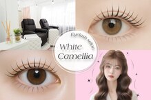 ホワイトカメリア(White Camellia)