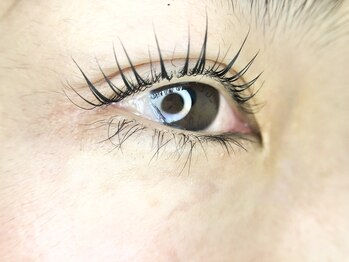 シェリ(SHERI)/まつ毛パーマ【水餃子ロット】