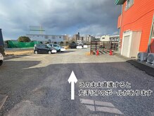 リルフィーユ(Rire Feuille)/3