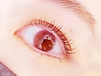 イーエヌトリップ(en.trip)/ケラチンラッシュリフト