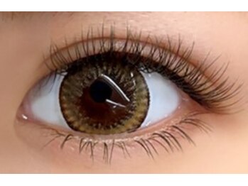 ミューズ(MUSE)/カーキブラウン