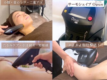 ラエッセ(La Esse)/部分造形&引き締め 最新機種導入