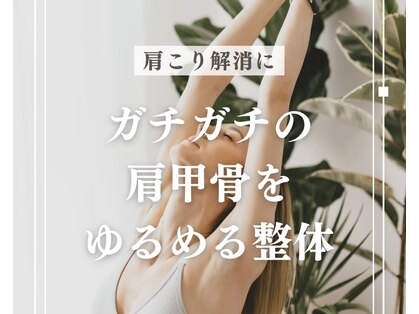 ソラナ(solana)の写真