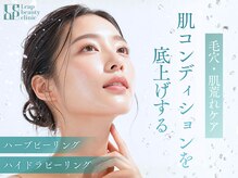 リープ(Leap)