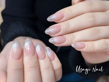 ウサギネイル 新大久保店(usagi nail)/冬ネイル