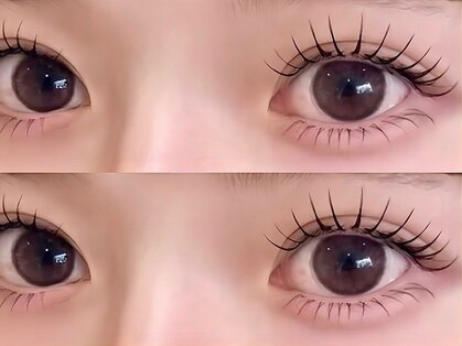 トランク(Trunk)の写真