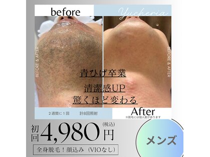 ユシェリア(Yucheria)の写真