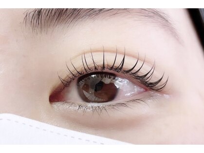 コティ(coti)の写真